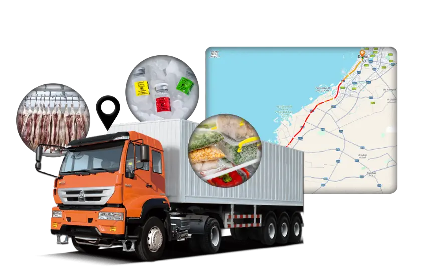 Monitor Your Cold Chain Shipment